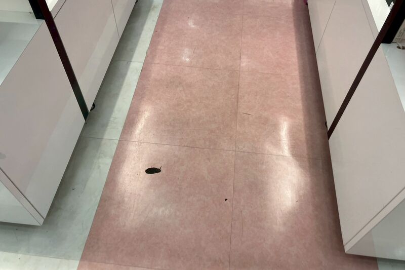 LINE_ALBUM_202509 プラス_250929_17