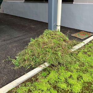 LINE_ALBUM_202606プライフーズ草抜き_260701_3