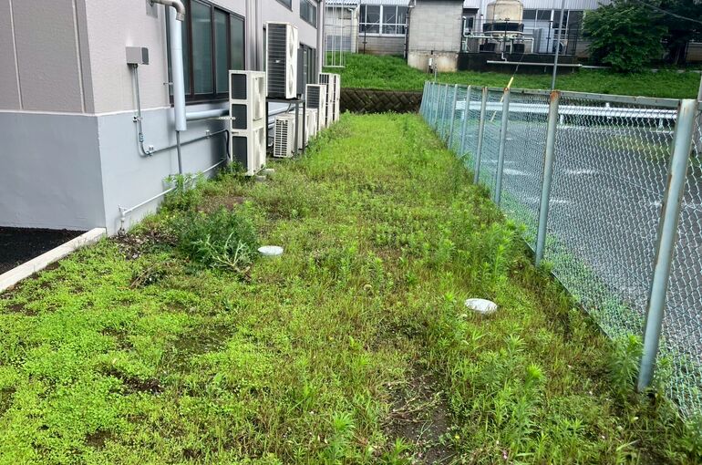 LINE_ALBUM_202606プライフーズ草抜き_260701_6